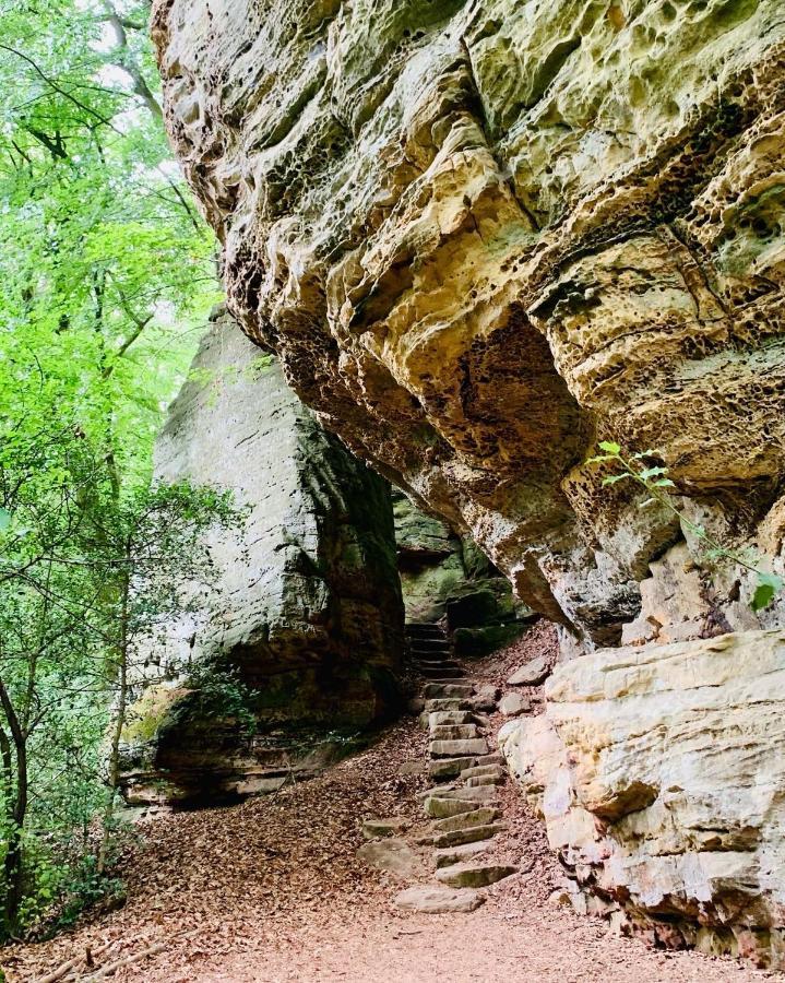 Tailor'S Trail Gite D'Adventure Beaufort Mullerthal Exteriér fotografie